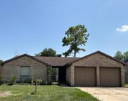 6927 Northleaf Drive, Houston image
