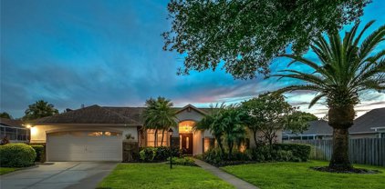 12310 Glencliff Circle, Tampa