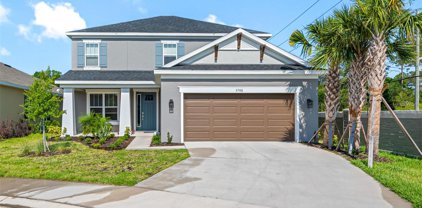 2788 Leafwing Court, Palm Harbor
