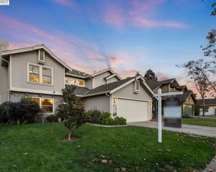 217 Sheffield Rd, Alameda