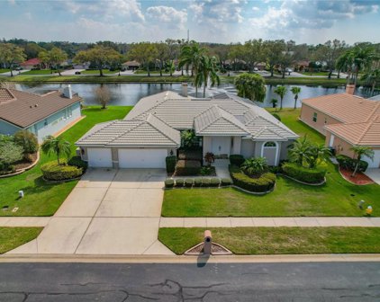 3150 Sterling Street, Tarpon Springs