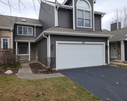 163 E Raleigh Court, Bloomingdale