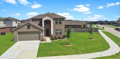 3510 Champions Cove Lane, Missouri City