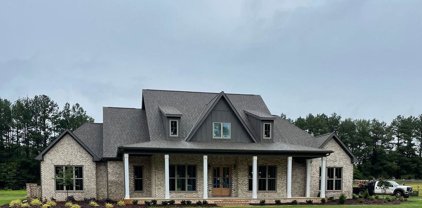 1102 Wauchula Pvt. Drive, Athens