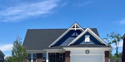 6534 Treeline Lane, Mccordsville