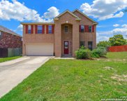 173 Springtree Gate, Cibolo image