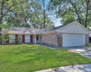 23906 Conefall Court, Spring image