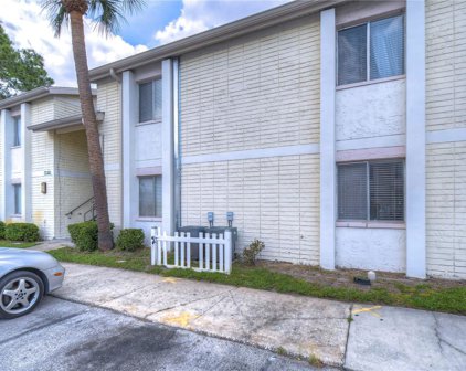 7907 Savanah Palm Place Unit 101, Tampa