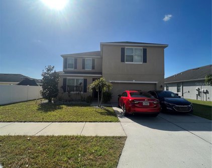 14238 Alistar Manor Drive, Wimauma