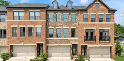 3052 Wild Blue Indigo Ct, Fairfax