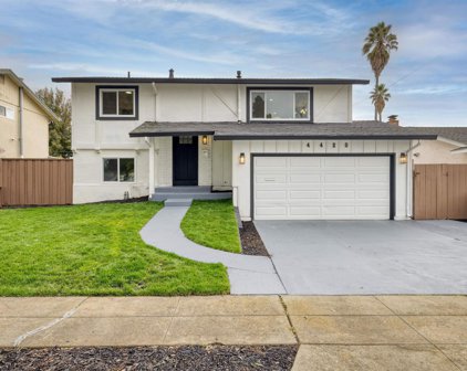 4420 Mowry Ave, Fremont