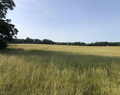 41.534 AC Old Durand, Greenville