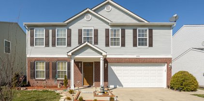 10106 Sapphire Berry Lane, Fishers