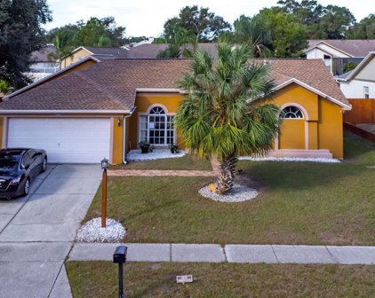 2439 Cedarcrest Place, Valrico