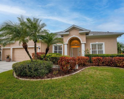 10238 Millport Drive, Tampa