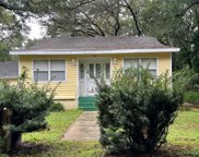 1310 E Diana Street, Tampa image