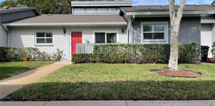 50 Balsam Drive, Oldsmar