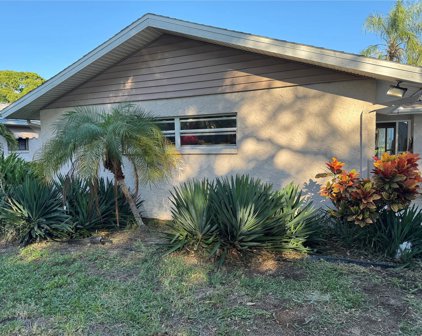 1004 Peninsula Avenue, Tarpon Springs