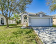 18136 Sandy Pointe Drive, Tampa image