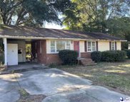 917 Nandina St, Hartsville image