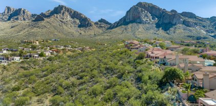 10126 N Bighorn Butte, Oro Valley