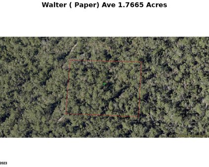 Walter Paper Avenue, Lake Helen