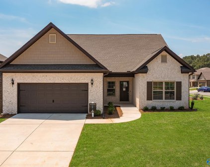 08 Pennington Avenue, Huntsville