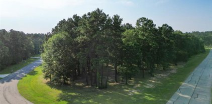 14783 Turquoise Trail, Willis