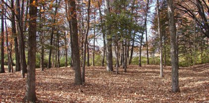 Lot 3 S Hoaglin Drive, Mount Pleasant