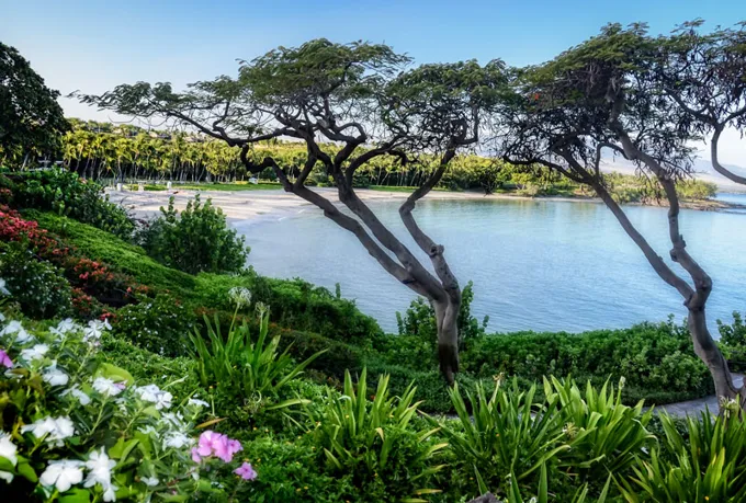 Mauna Kea Resort
