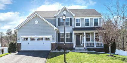 3 Burning Tree Ct, Stafford