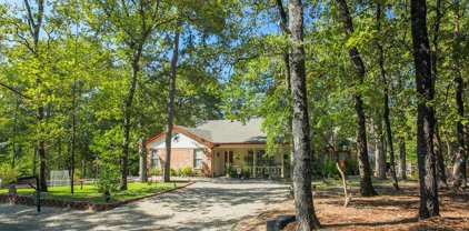 339 Green Meadow  Trail, Holly Lake Ranch