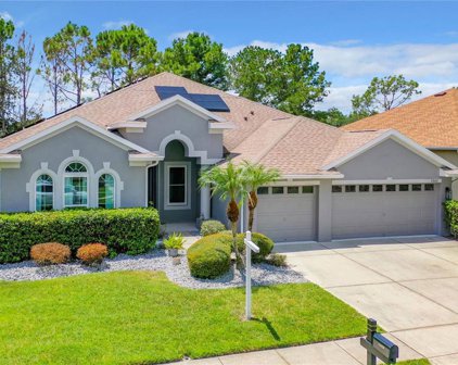 23620 Abercorn Lane, Land O' Lakes