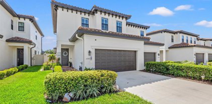 13028 Sanctuary Village Lane, Tampa