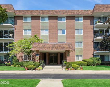 1025 S Fernandez Avenue Unit #3K, Arlington Heights