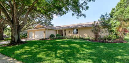3278 Masters Drive, Clearwater