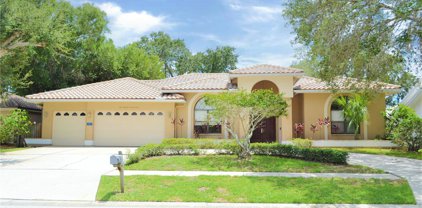 3077 Doxberry Court, Clearwater