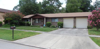 11117 Windhaven Drive N, Jacksonville