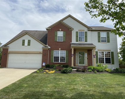 3482 Trailview Court, Brunswick