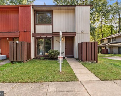 2286 White Cornus Ln, Reston