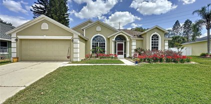 263 Via Mariel East Drive, Davenport
