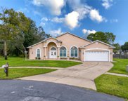 12349 Willowtree Court, Spring Hill image