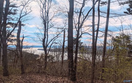 1.2AC BLUFF LOT Alabama Hwy 35, Section