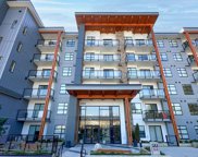 6950 Nicholson Road Unit 217, Delta image