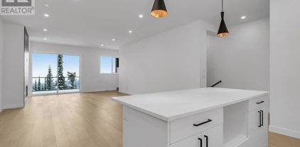 7500 Porcupine Road Unit 3, Big White