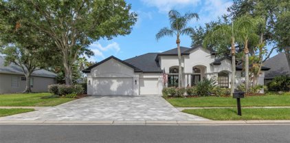 4994 Jewell Terrace, Palm Harbor