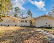 1225 Hollow Tree  Court, Charlotte image