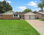 5204 Apple Springs Drive, Pearland image