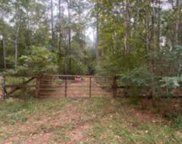 Bergman Drive, Lot 11, Magnolia image