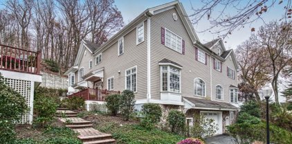 60 Chestnut St, Morristown Town